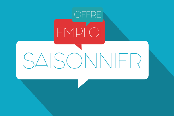 offres d'emplois jobs d'été